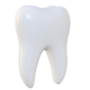 Human Tooth 1