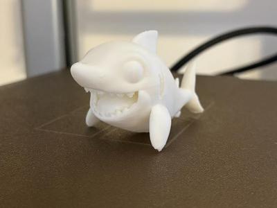 Shark Sculpture 