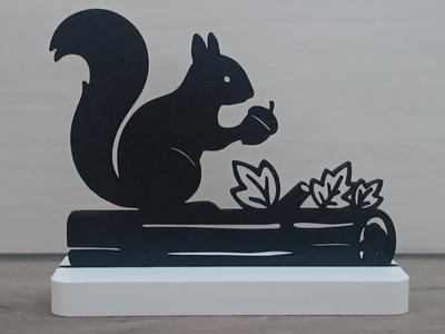 Eichhörnchen 