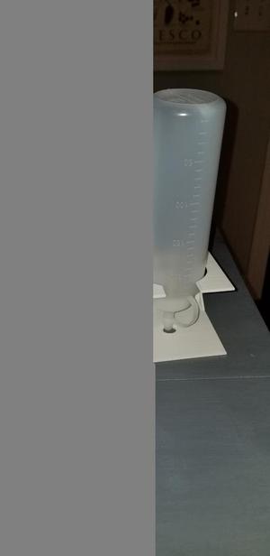 Squeeze bottle holder