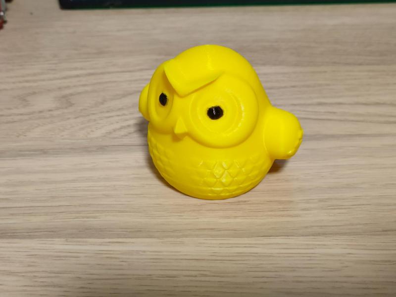 Cute owl