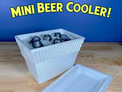 Mini Beer Cooler with secret stash!!!