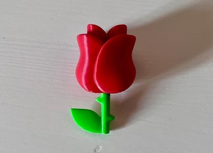 Little Rose