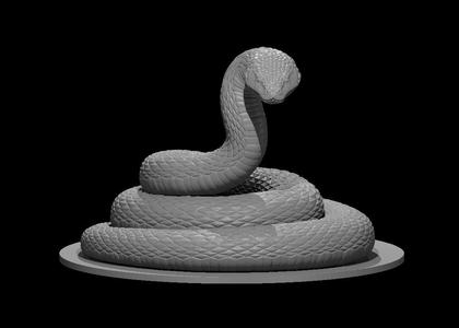 Giant Constrictor Snake coiled