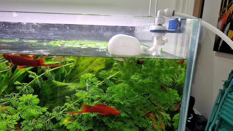 Aquarium Auto Fill Float Ball Valve Bracket