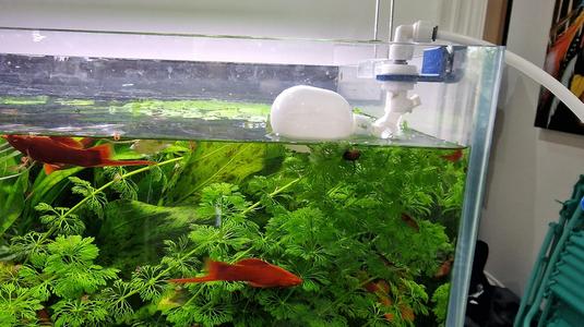 Aquarium Auto Fill Float Ball Valve Bracket