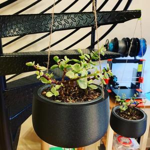 Hanging Pot
