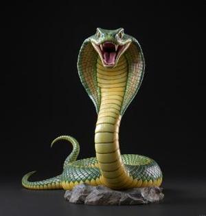 SNAKE