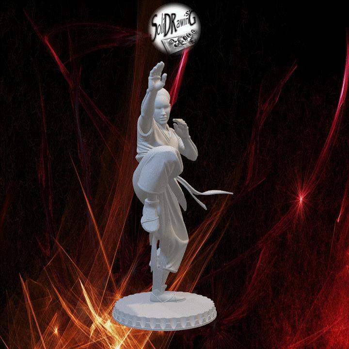 Karate Master Pose – SoliDRawinGs C390