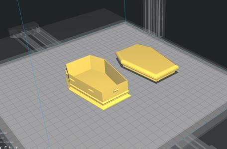 Beta Fish Casket