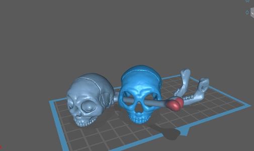 skull and bone