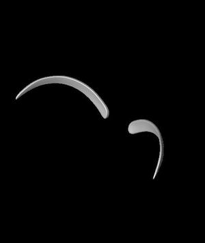 Mask