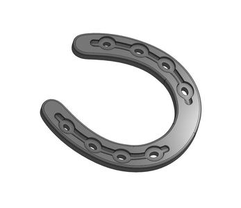 HORSE SHOE SILVER