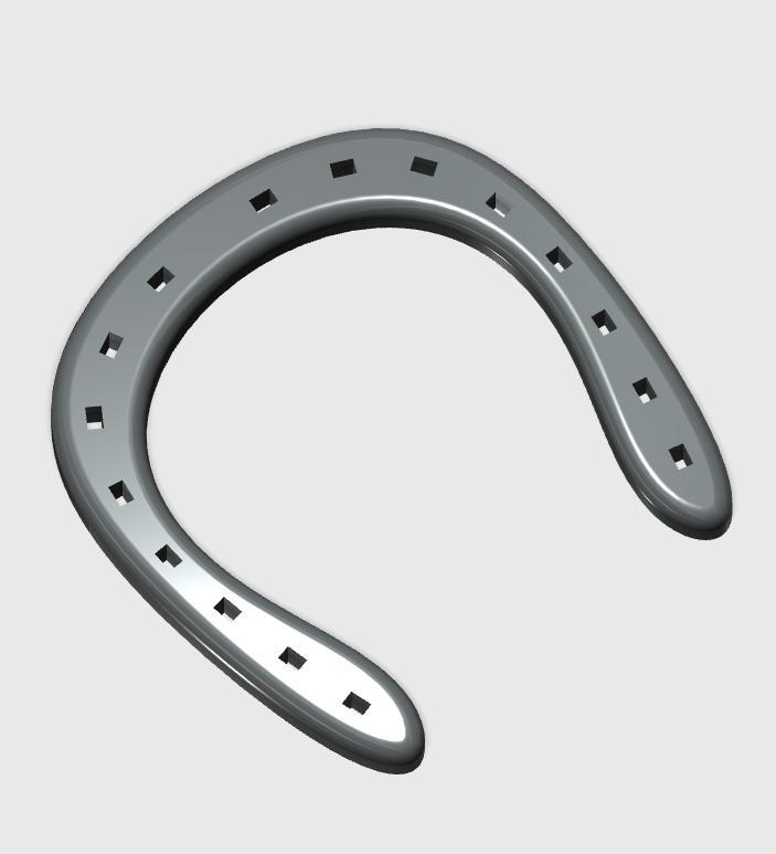 Horse shoe