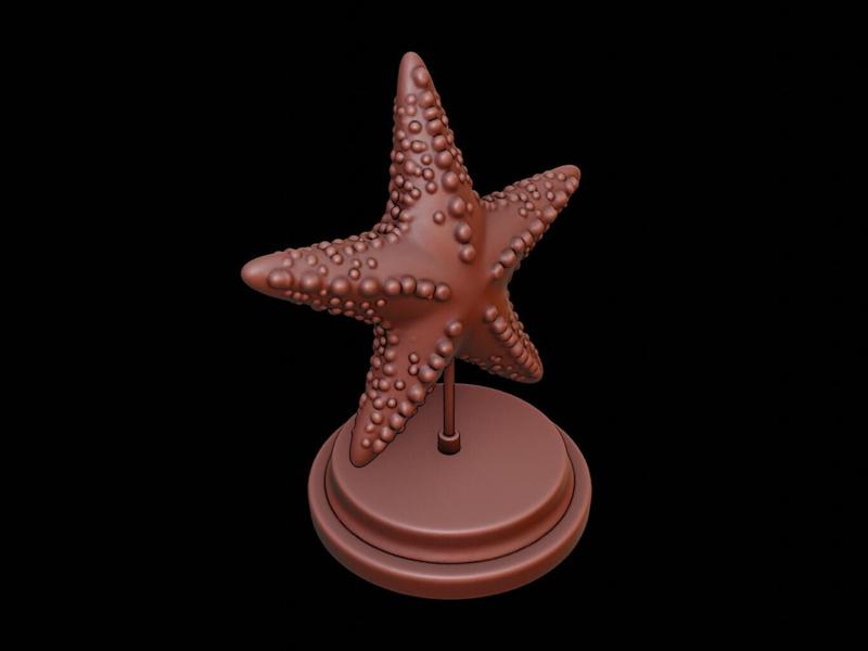 Starfish Animal Figure Printable