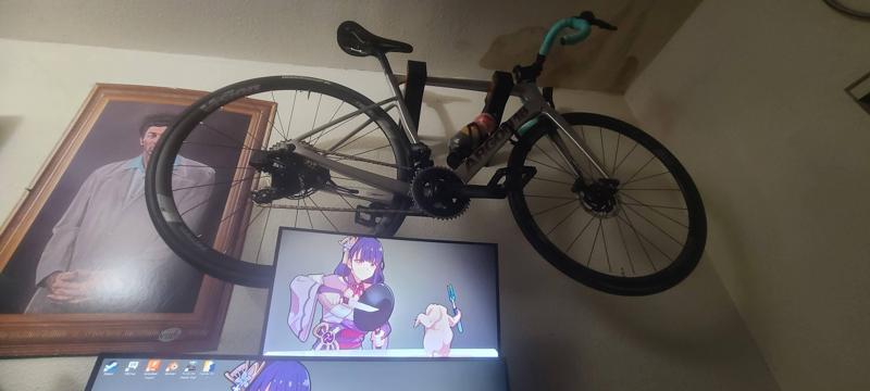 wall mount for road bikes