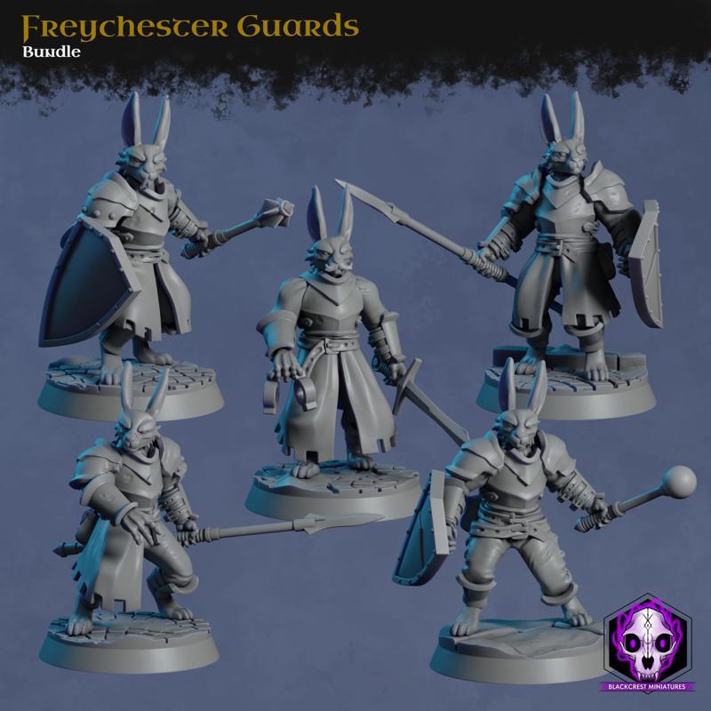 [Bundle] Freychester Guards | Guards