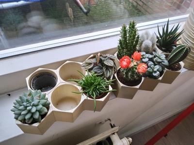 Hexagon Small Cactus Planter