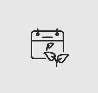 SEASON PICTOGRAM