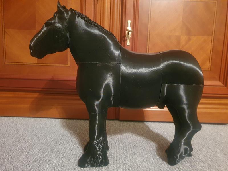 Belgian cold blood horse