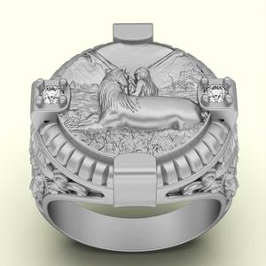 Horse ring
