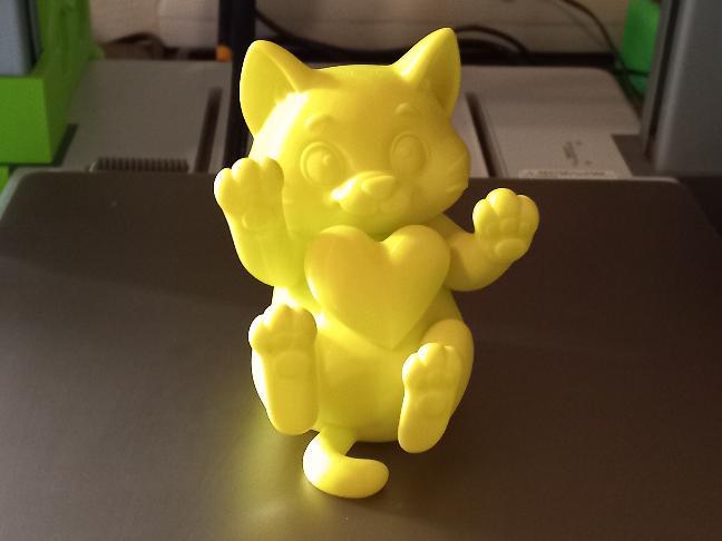 Adorable Cat with Heart