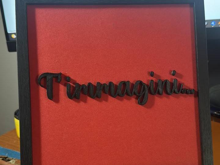 Imagine... Vasco Rossi