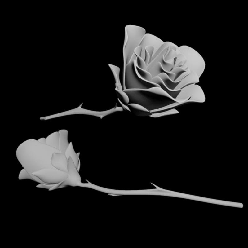 Rose Miniature