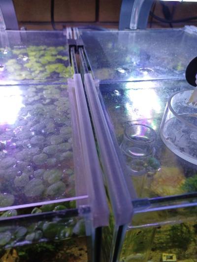 Anko Aquarium Sliding Lid Clips