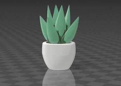 cute decorative plant