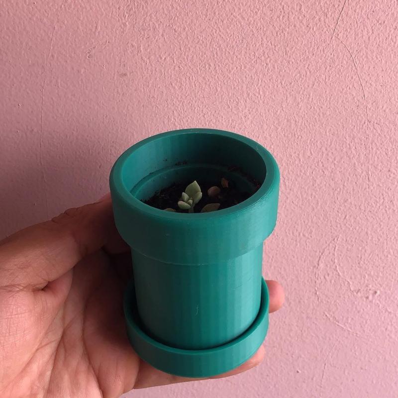 plant pot mario bross