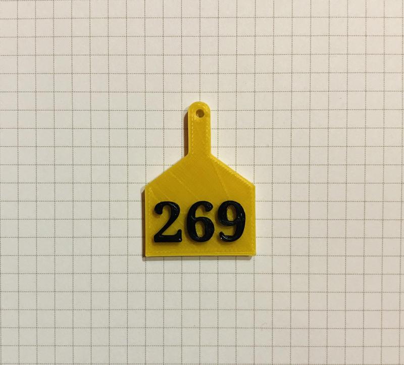 269 earring