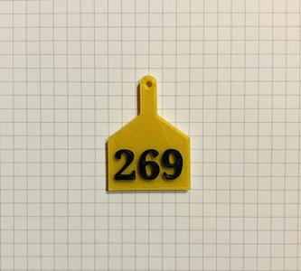 269 earring