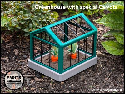 Greenhouse with special Carrots