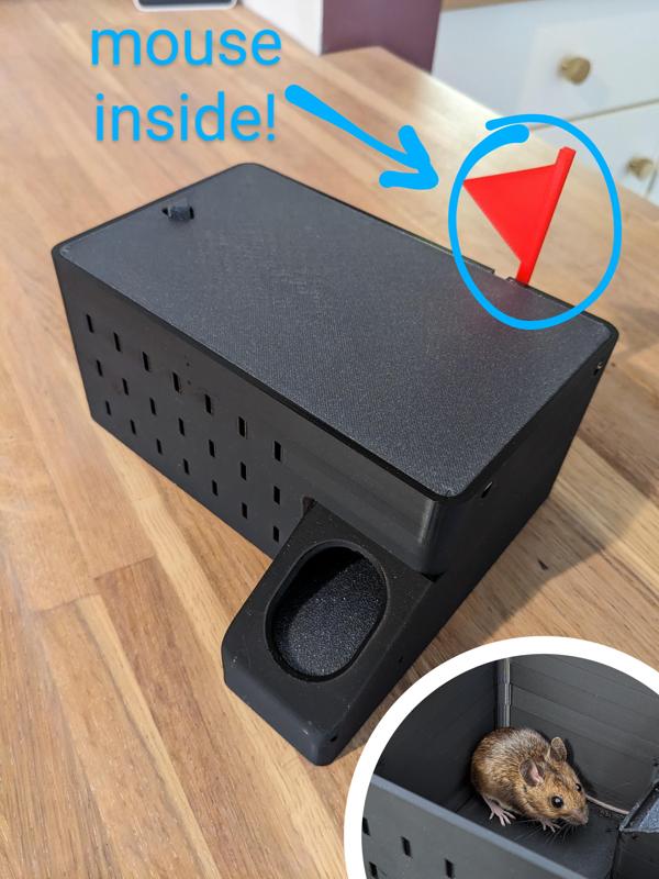 Live multi-catch mouse trap with catch indicator