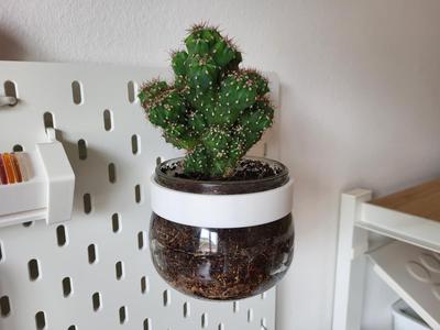 Skadis Jar Plant Holder – Reused KORKEN Jar Base
