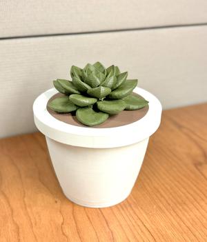 Succulent Jar
