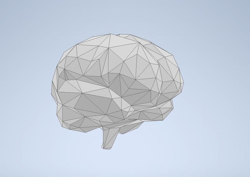 LOW POLY BRAIN