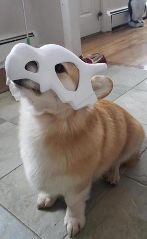 Cubone Pet Mask!