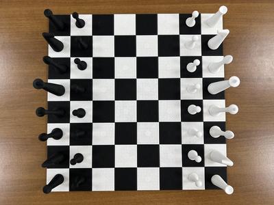Herman Ohme Chess Magnet Tactile Set