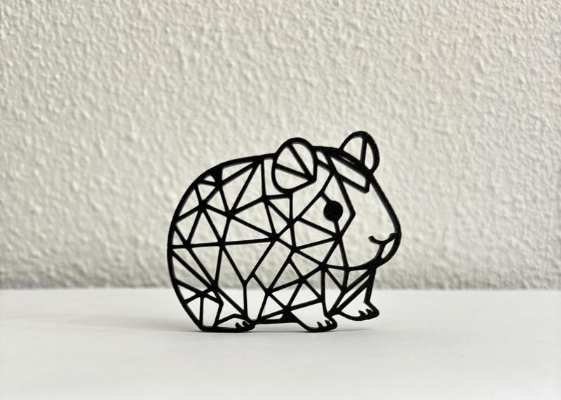 Geometric Guinea pig