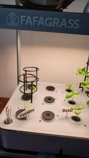 FAFAGRASS Herb garden stackable plant cage