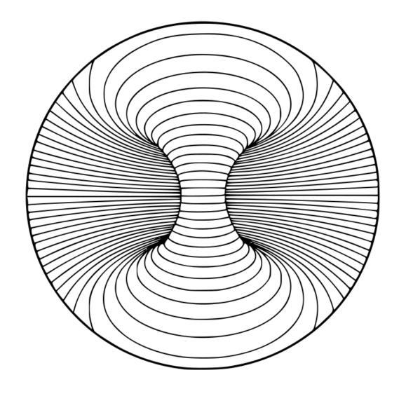 Optical Illusion Decorative