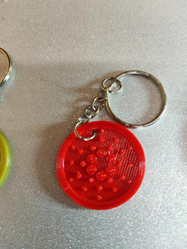 Cardano cryptocurrency keychain