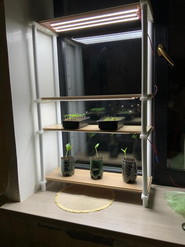 Seedling rack