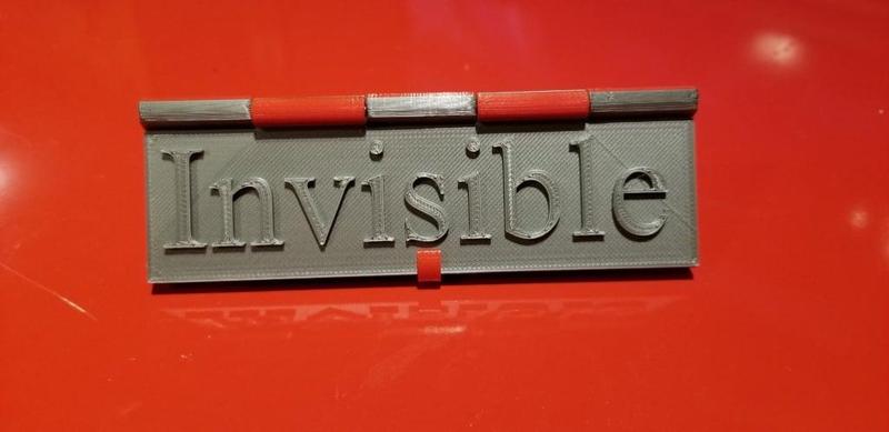 Visible Invisible Flag