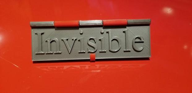 Visible Invisible Flag