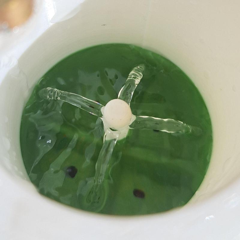 Self-Watering Plant Pot