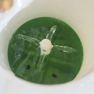 Self-Watering Plant Pot