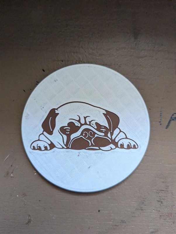 pug coaster